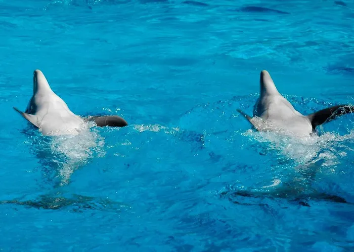 Apartament Herdade Dos Salgados By Intiholidays *