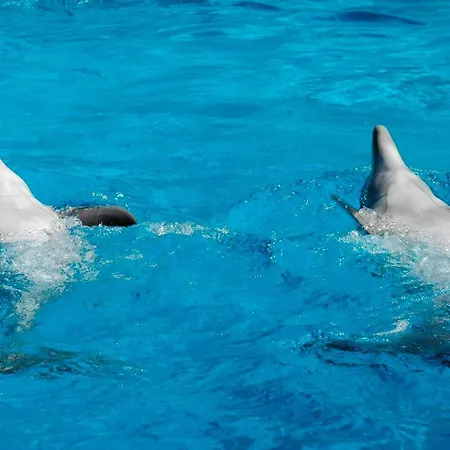 Διαμέρισμα Herdade Dos Salgados By Intiholidays *